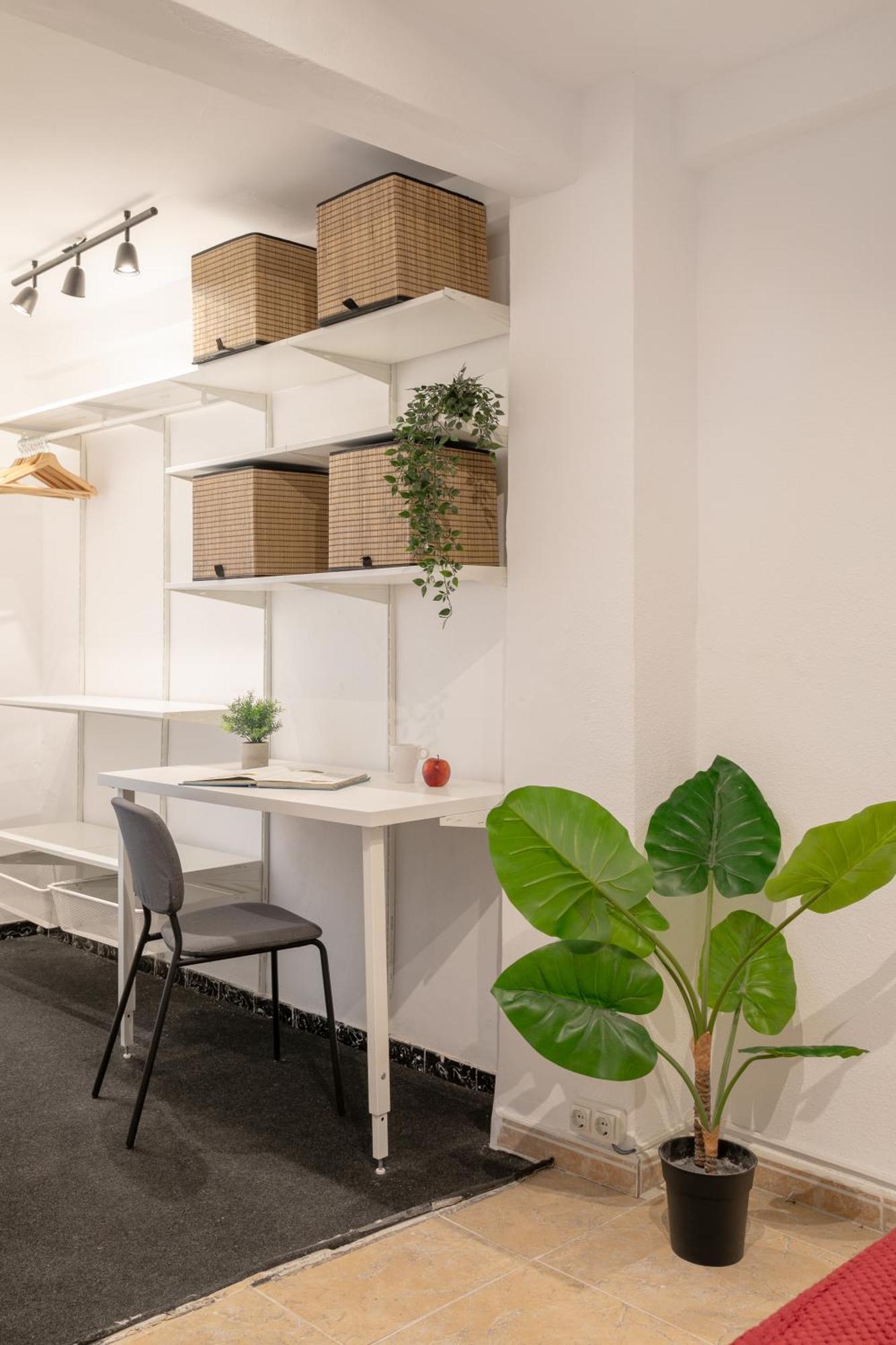 Santos Medicos, Centrico Apartamento Casco Antiguo アリカンテ エクステリア 写真